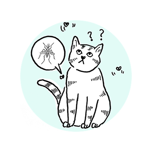 Transmission of L3 Larvae