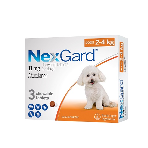 BISG 2023 NexGard S 3 chews