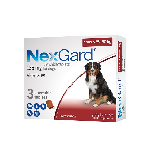 BISG 2023 NexGard XL 3 chews