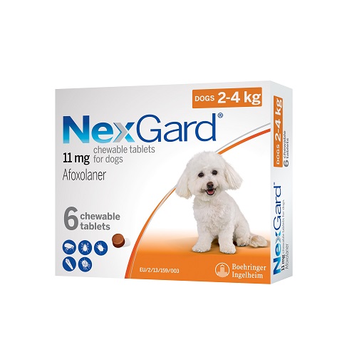 BISG 2023 NexGard S 6 chews