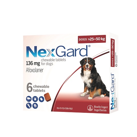 BISG 2023 NexGard XL 6 chews