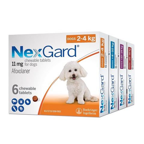 BISG 2023 NexGard Group 06_11mg - 136mg_2D Side View_HR.jpg