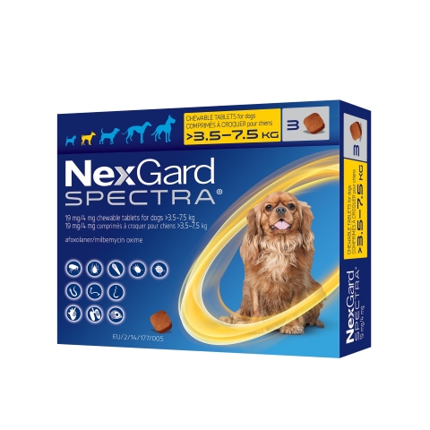 BISG 2023 NexGard Spectra S