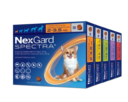 BISG 2023 NexGard Spectra